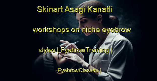 Skinart Asagi Kanatli workshops on niche eyebrow styles | EyebrowTraining | EyebrowClasses | SkinartTraining-Turkey